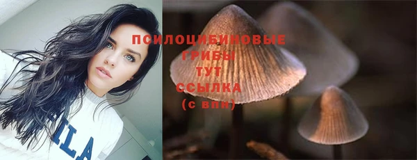 круглые Нефтегорск