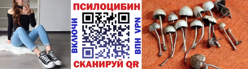 Псилоцибиновые грибы Psilocybine cubensis  MEGA зеркало  Ступино 