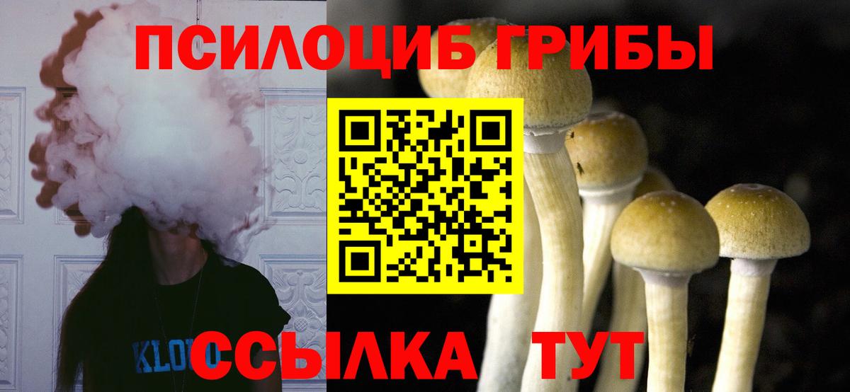 Галлюциногенные грибы Psilocybine cubensis Ступино